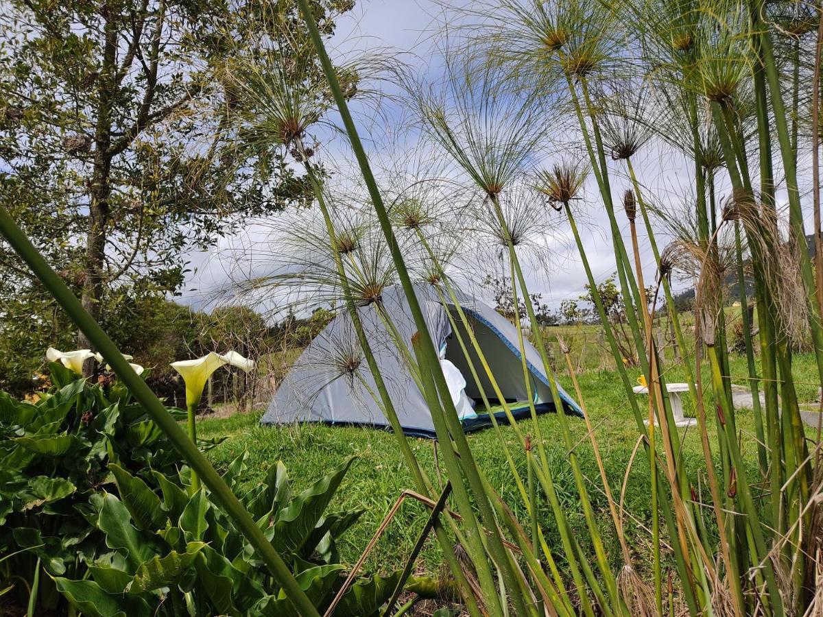 Iwoka Ecoturismo 2* La Calera
